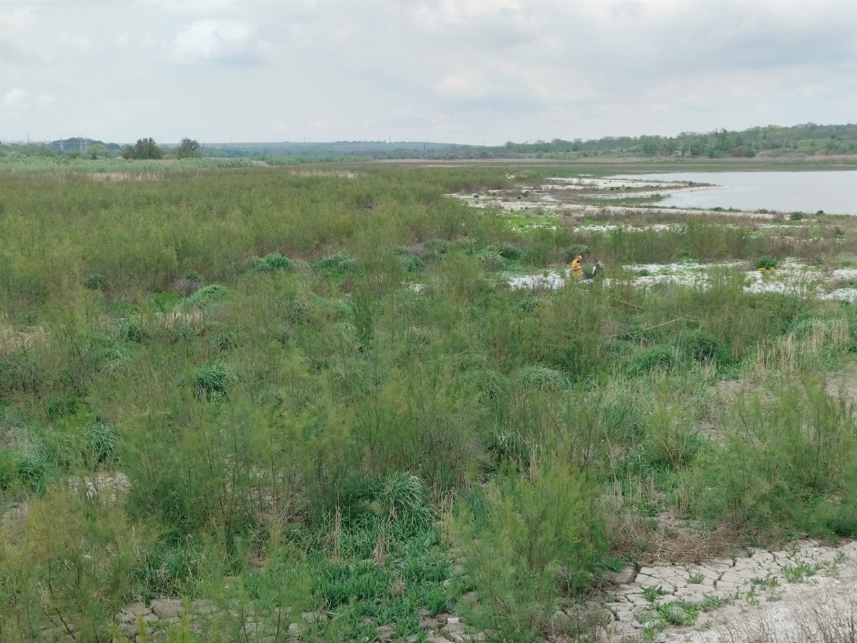 Дослідження науковці проводили в кількох локаціях, обирали ділянки з різною щільністю рослинності. Травень 2026 року. Іван Мойсієнко / Facebook