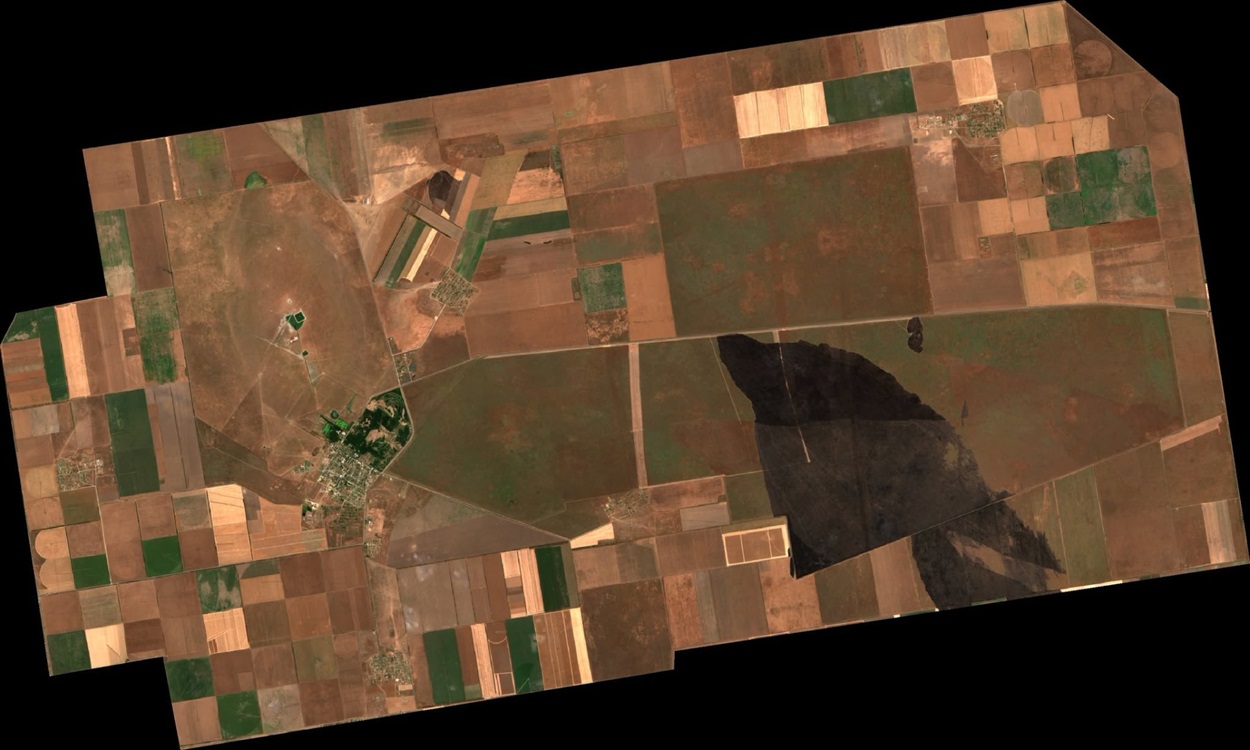 Супутниковий знімок Sentinel-2 території Біосферного заповідника “Асканія-Нова”. 29.06.2026